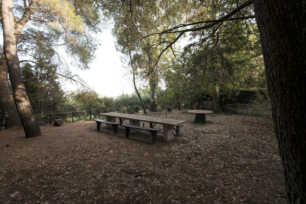 פיידימונטה אטנאו Casa Vacanze Etna מראה חיצוני תמונה