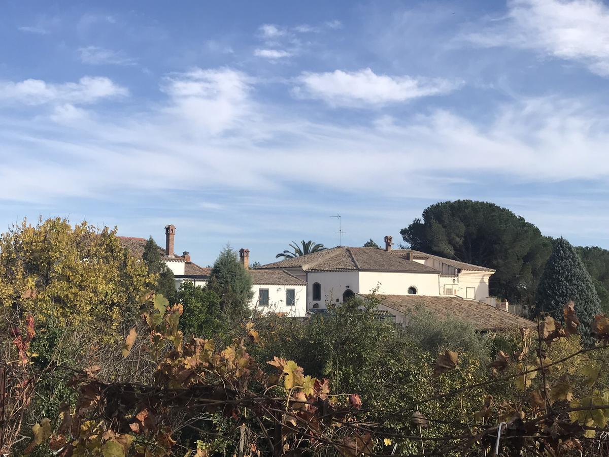 פיידימונטה אטנאו Casa Vacanze Etna מראה חיצוני תמונה